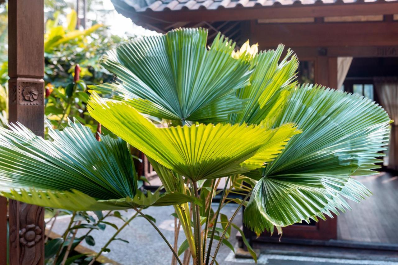 Villa Waturenggong Ubud Exteriör bild
